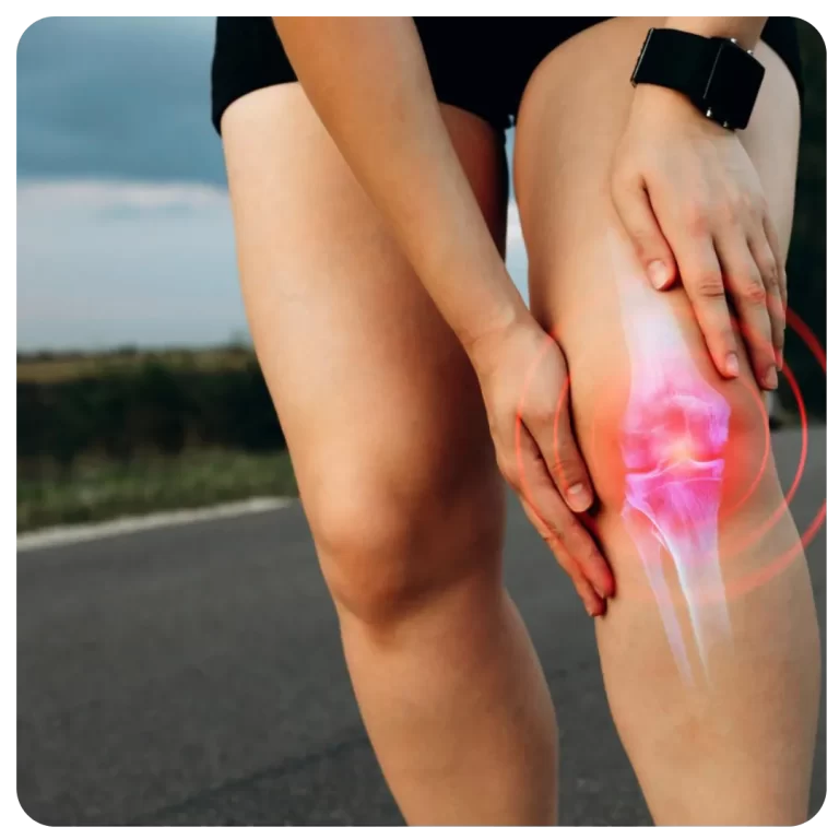 Adriana Favoni | Como